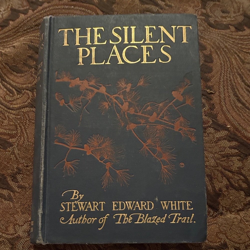 The Silent Places by Stewart Edward White - Black and Gold Hardcover